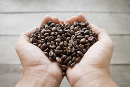 coffee beans in hand, heart shapeの写真素材