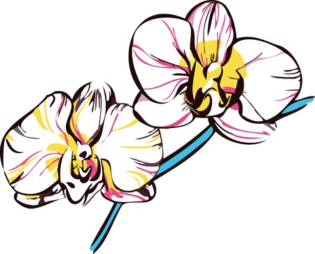  two orchids with yellow center and pale pink petalsのイラスト素材