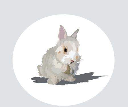 rabbitのイラスト素材