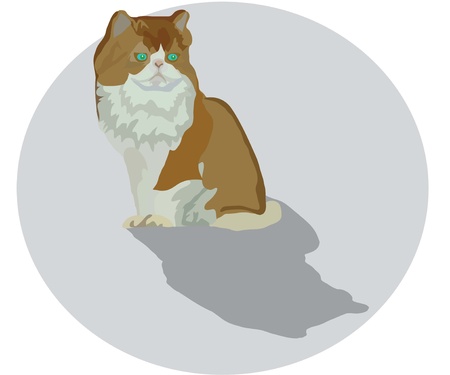 cat with green eyesのイラスト素材