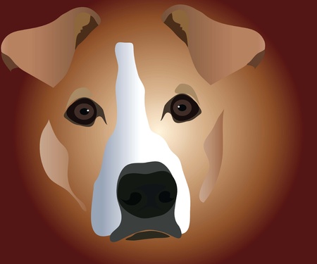 muzzle of dogのイラスト素材