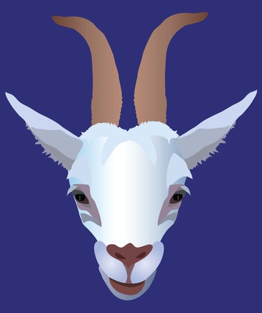  goatのイラスト素材