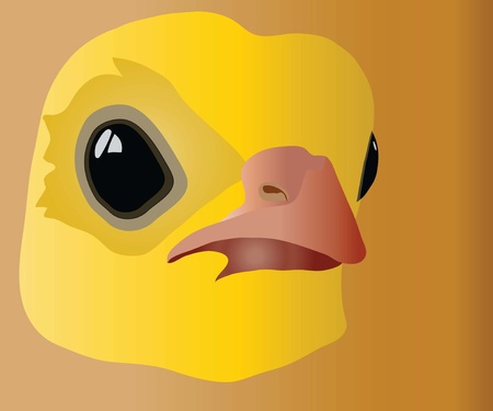 chickenのイラスト素材