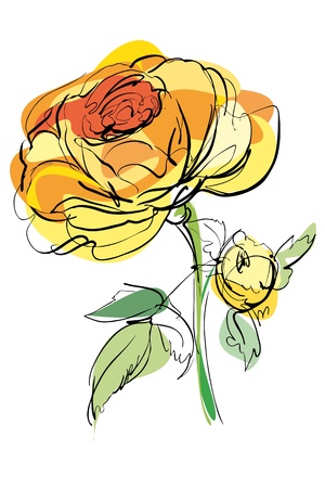 sketch of yellow rose on a white backgroundのイラスト素材