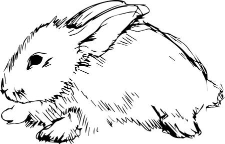 a image of a rabbit with long earsのイラスト素材