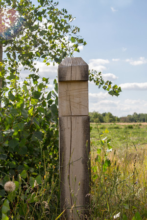 a Image wooden pillar at the border of the field の写真素材