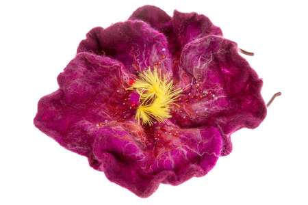 a decoration beautiful burgundy flower hoop on the head の写真素材