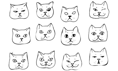 black and white vector sketch beautiful cat muzzleのイラスト素材