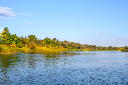 a landscape image of a large river shore vegetation