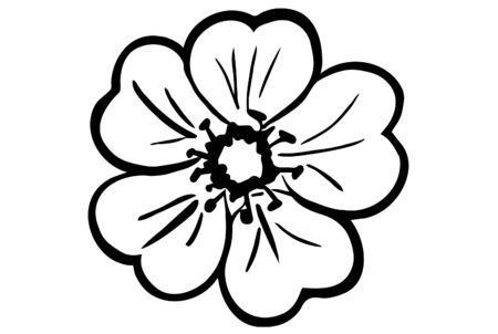 black and white vector sketch of a wildflower plantのイラスト素材