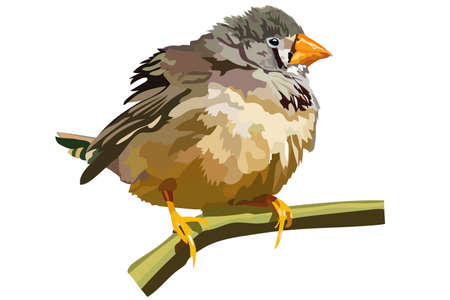 vector image of a small bird with a yellow beak sitting on a branchのイラスト素材