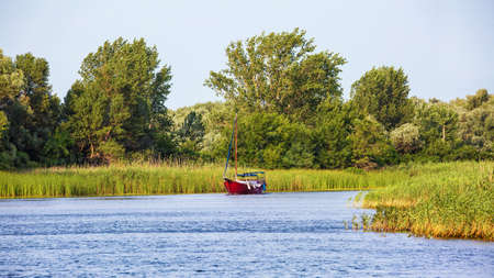 Image of a red yacht sailing along the reed river bank