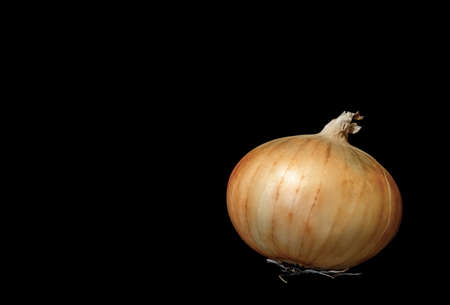 An image of an onion on a black backgroundの写真素材