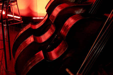 Image of three wooden stringed instrument of a symphony orchestra double bassの写真素材