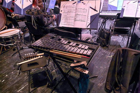 image of metallophone and other shock-noise instruments of a symphony orchestra