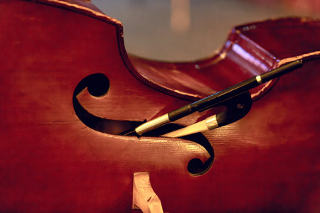 The image of a musical instrument double bass with a bow lies on the stageの写真素材