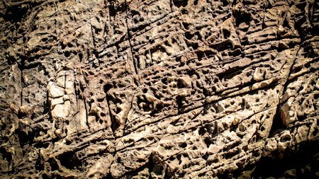 rock texture and surface background
