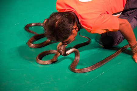 Between man and snake performancesのeditorial素材