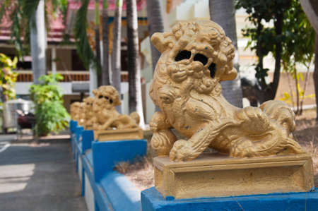 Lionのeditorial素材