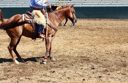 Cowboy on horse in empty stadium