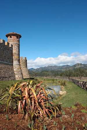 Old castle in countryside vineyardのeditorial素材