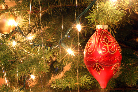 Ornament on christmas treeの写真素材
