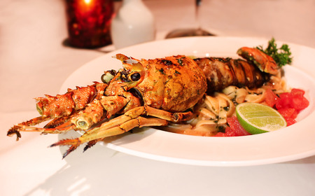 Large cooked lobster on plateの写真素材