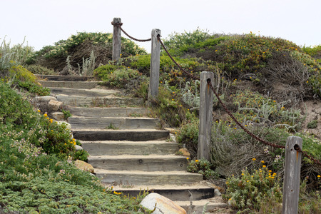 Wooden stairs on a coastlineの写真素材
