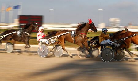 Palma de Mallorca, Mallorca / Spain - March 3, 2019: Palma de Mallorca hippodromeのeditorial素材