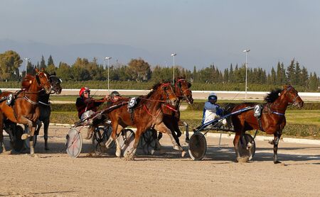 Palma de Mallorca, Mallorca / Spain - March 3, 2019: Palma de Mallorca hippodromeのeditorial素材