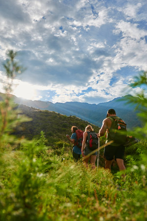 Hikers on the trail in the Carpathian mountains, Ukraineの写真素材