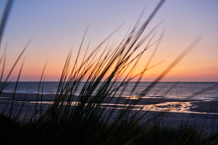 Sunset on the beach with grass and sand dunes in the foregroundの写真素材