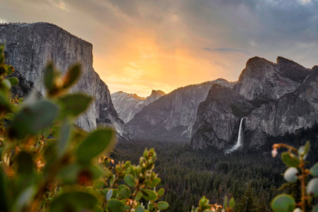 Yosemite National Park in California, United States of America.の写真素材