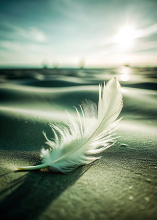 White feather on the sand at sunset. Shallow depth of fieldの写真素材