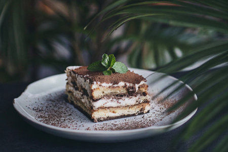 Tiramisu cake on a white plate and a palm leafの写真素材