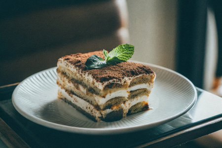 Tiramisu cake on a white plate, close-upの写真素材