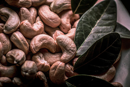 Raw cashew nuts with leaves. Selective focus. Toned.の写真素材