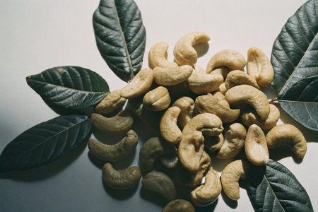Cashew nuts with leaves on white background, Healthy food concept.の写真素材
