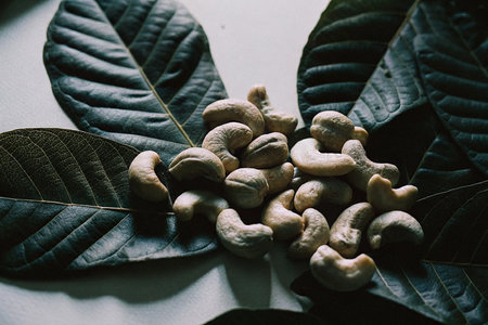 Cashew nuts with leaves. Healthy food concept.の写真素材