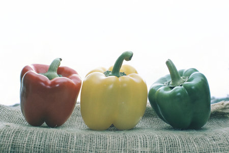 Colorful sweet peppers on sackcloth background. Selective focus.の写真素材
