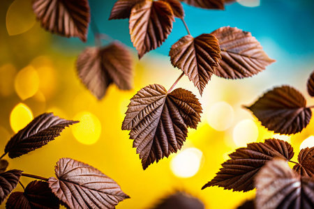 Autumn leaves on bokeh background. Fall season concept.