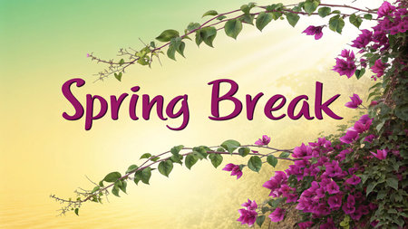 Spring Break message with bougainvillea flowers over green backgroundの写真素材