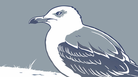 Seagull on the beach. Vector illustration of a seagull.のイラスト素材