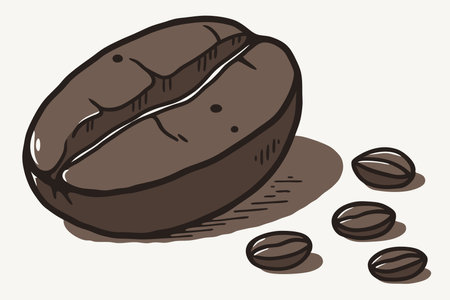 Coffee beans, hand drawn vector illustration in sketch style.のイラスト素材