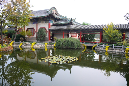 Reflectionsの写真素材