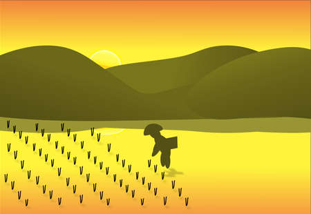 Asian Rice Farmer with beautiful sunset background.のイラスト素材