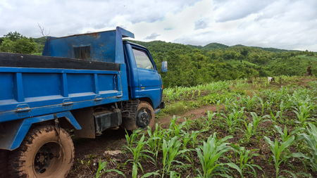 Truck in Crop Fieldの写真素材