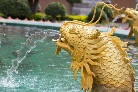 Golden dragonの写真素材