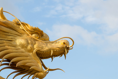 Golden dragonの写真素材