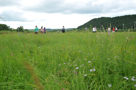 tour of the national Forest Park in Chengde, Hebeiのeditorial素材